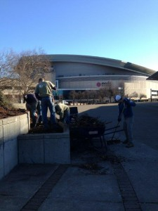 Four men digging on the sidewalk