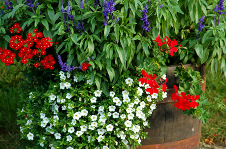 A wooden planter filled with red, white, and blue flowers, including verbena, petunias, and geraniums.