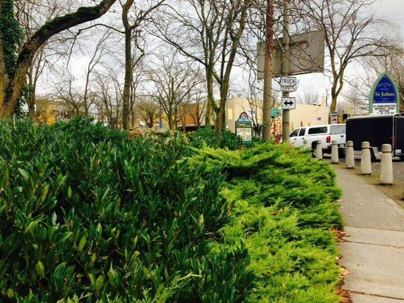 Trees, bushes, a sidewalk, buildings, and a truck are visible