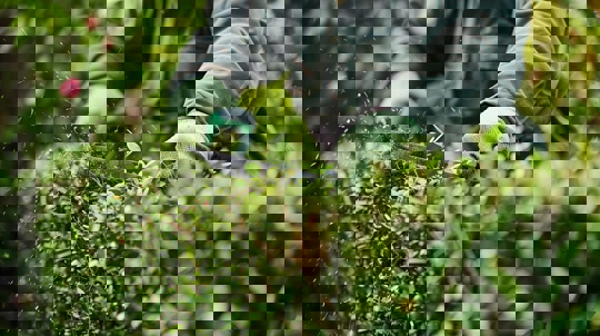 commercial landscaping