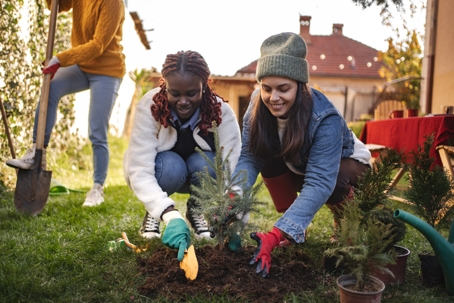 Three female friends planting a small tree in backyard.