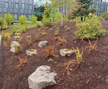 Sustainable landscaping Salem Oregon DeSantis Landscapes