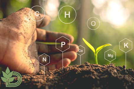 A hand touching a soil