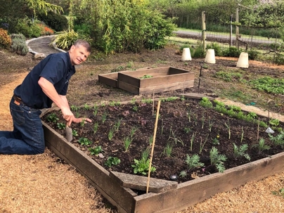 Ted Mucken gardening