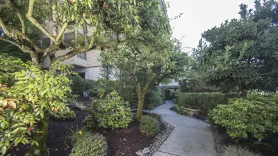 Commercial Landscaping Photo