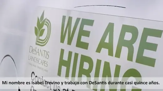 Desantis  Logo