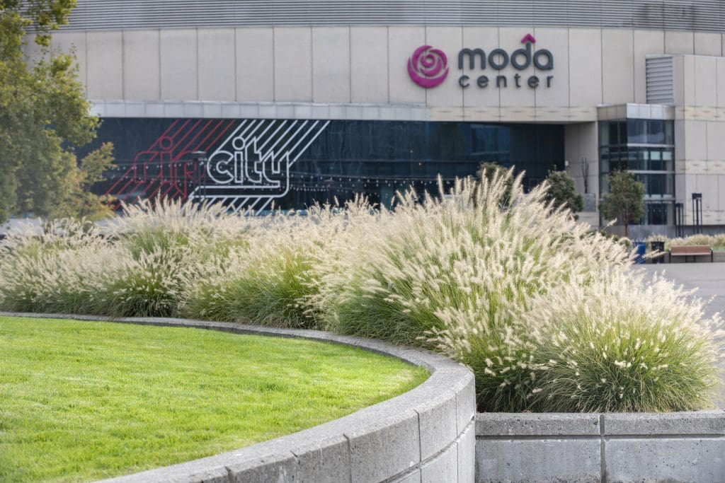 Moda Center Landscaping
