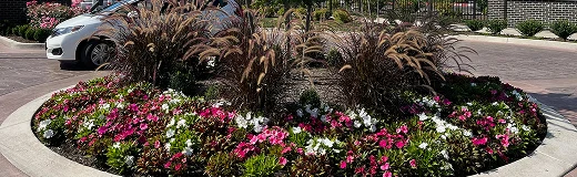 Commercial Landscaping