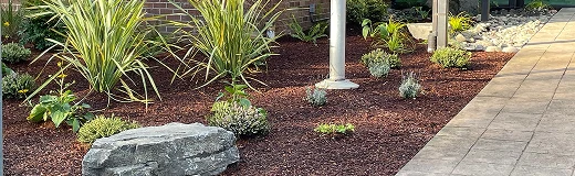 HOA & Multi Family Landscaping