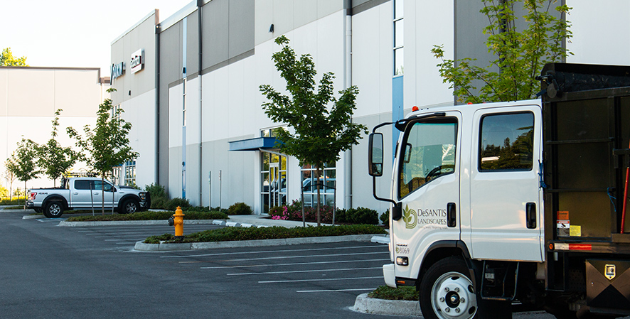 Commercial Landscaping